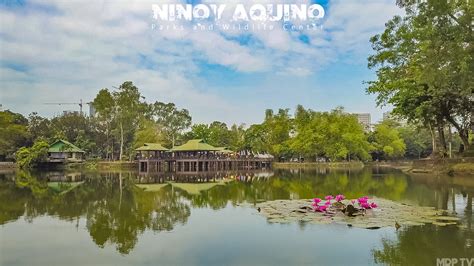 Ninoy Aquino Parks and Wildlife Center! Keşfetmek İçin Doğayı ve Yaban Hayatını Bir Arada Sunan Gizli Bir Cennet